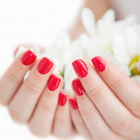 Closeup of manicured hands holding flowers at spa center Closeup of manicured hands holding flowers at spa center