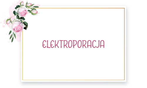 Elektroporacja