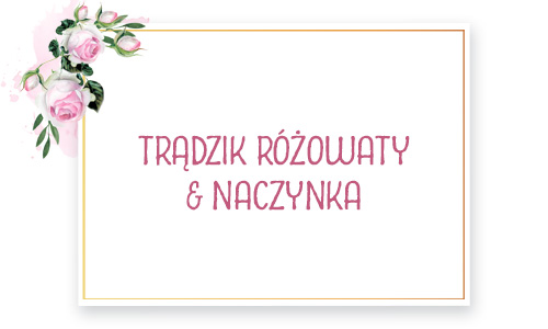 Zabiegi na trądzik różowaty i naczynka